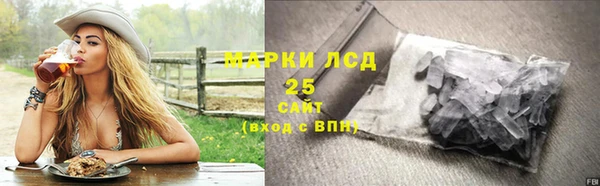 СК Горнозаводск