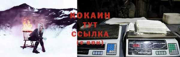хмурый Гусев
