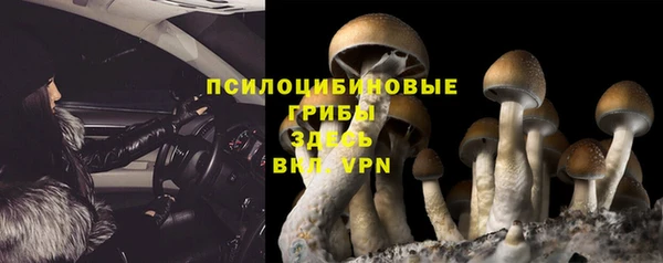 экстази Горняк
