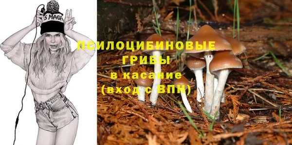 соль курить ск Горно-Алтайск