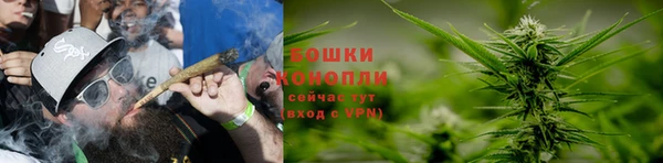 соль ск Гусиноозёрск