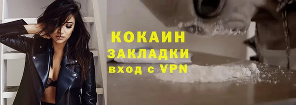 хмурый Гусев