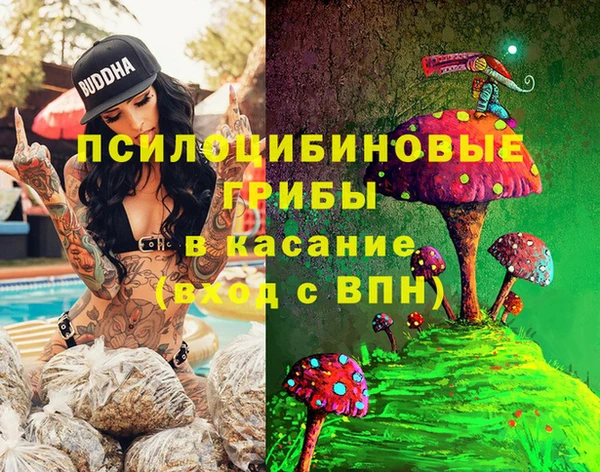 экстази Горняк