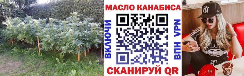 Купить закладки  Алупка  Дистиллят ТГК THC oil 