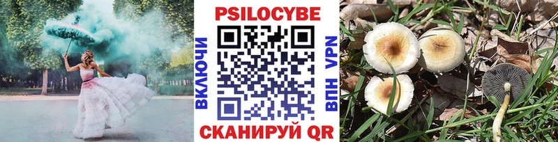 Галлюциногенные грибы Psilocybine cubensis  Купить закладки  Алупка 